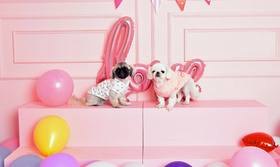 Pinkaholic Fiorella Hundtröja Ivory Small - 7