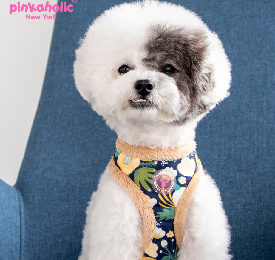 Pinkaholic Fleur Sele Rosa/Ivory - 6