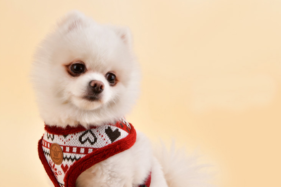 Pinkaholic Joy Sele Vinröd - 2