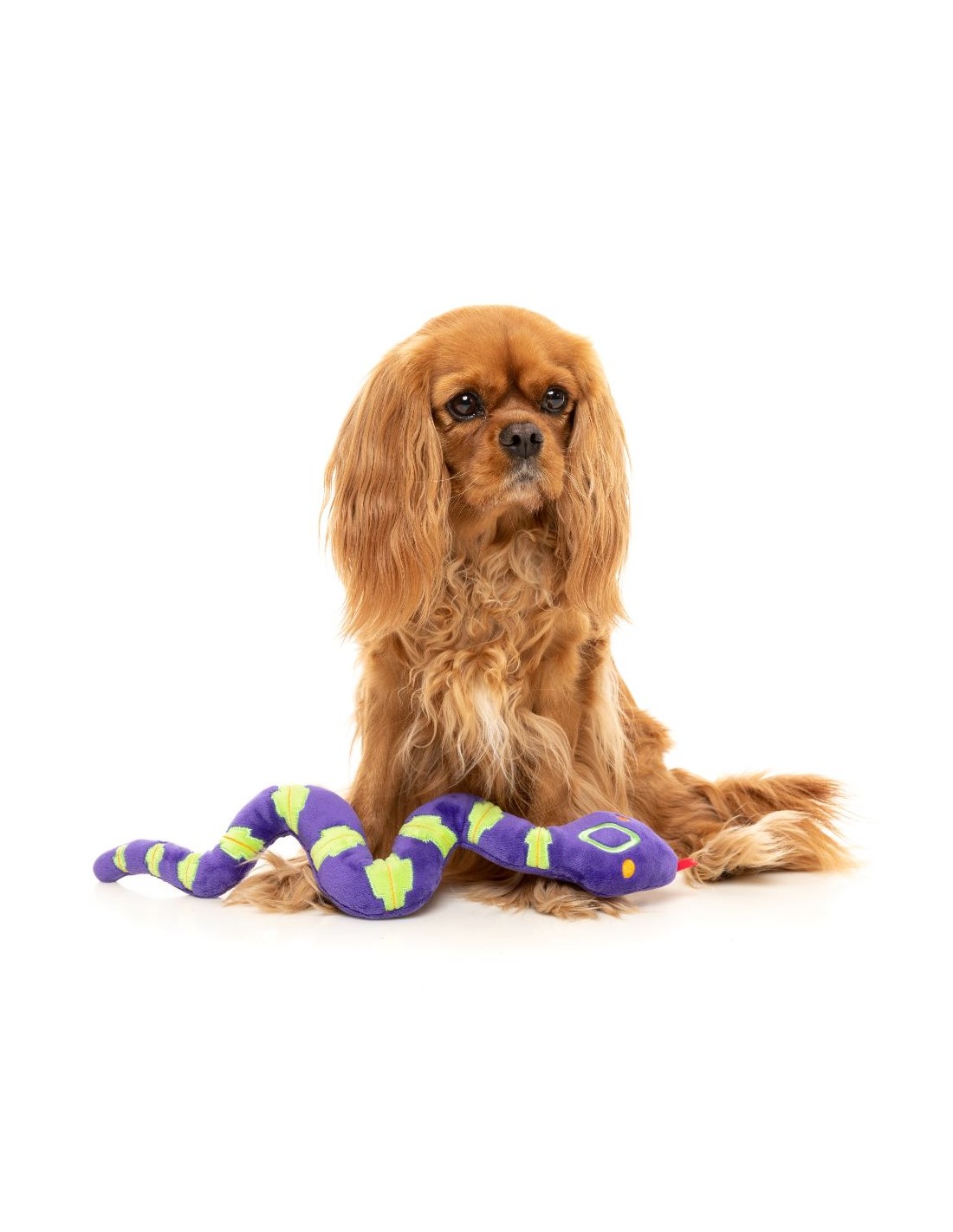 FuzzYard Hundleksak William Snakespeare  - 2