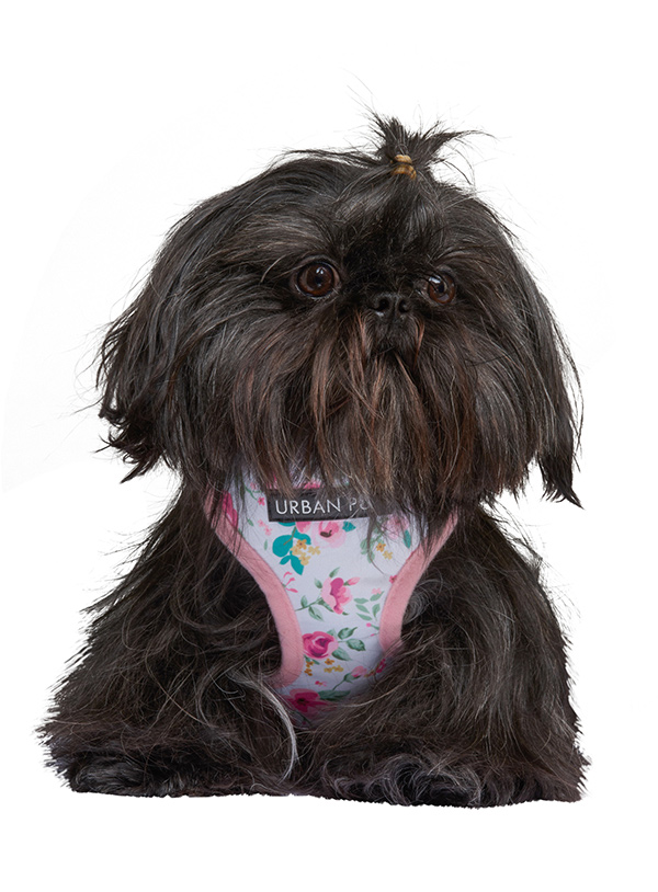 Urban Pup Sele Pink Floral Cascade Vit/Rosa/Grön Large - 3