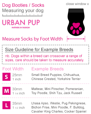 Urban Pup Blå/Gul KING 4-Pack Hundsockar Med Antiglid - 2