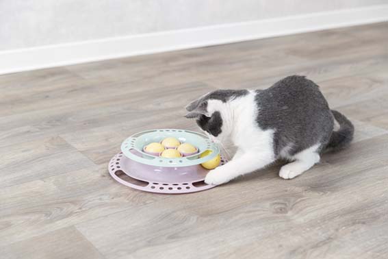 Trixie Kattleksak Junior Kitten Circle Ø 24cm - 7