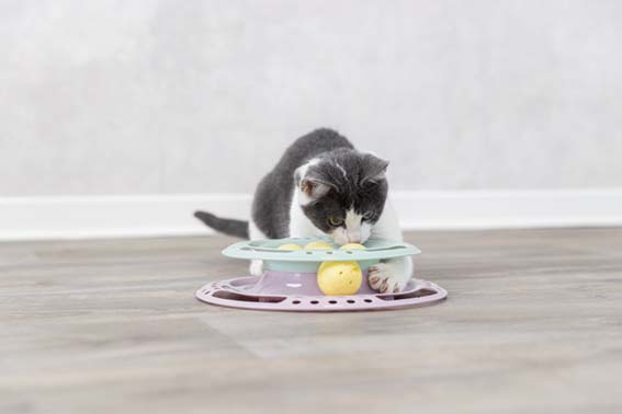 Trixie Kattleksak Junior Kitten Circle Ø 24cm - 9
