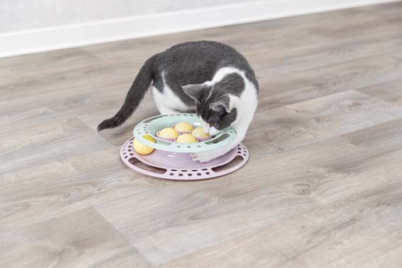 Trixie Kattleksak Junior Kitten Circle Ø 24cm - 8