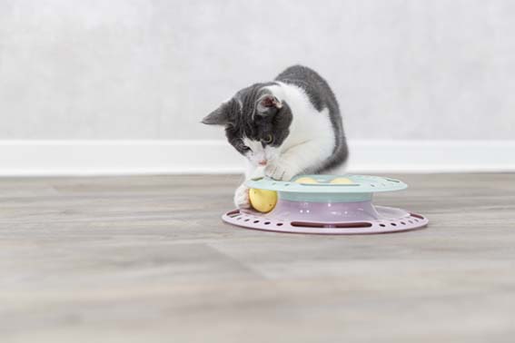 Trixie Kattleksak Junior Kitten Circle Ø 24cm - 10