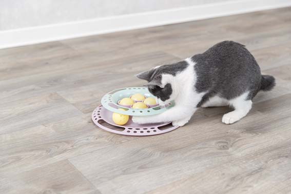 Trixie Kattleksak Junior Kitten Circle Ø 24cm - 6