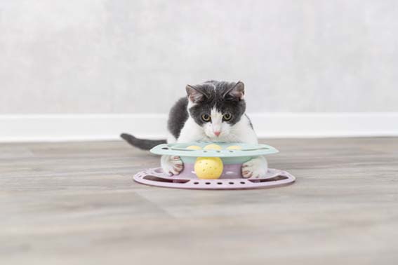 Trixie Kattleksak Junior Kitten Circle Ø 24cm - 2