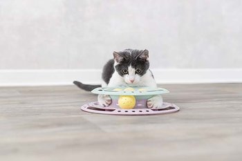 Trixie Kattleksak Junior Kitten Circle Ø 24cm