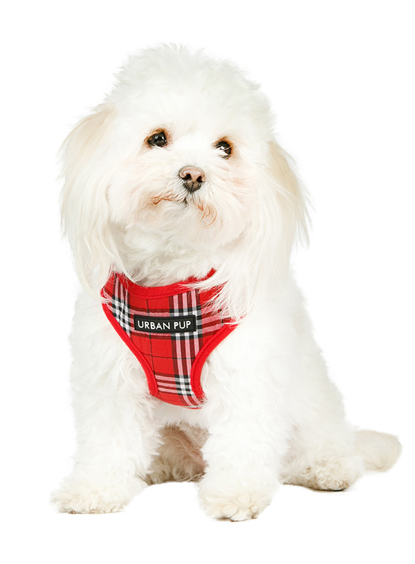 Urban Pup Red Checked Tartan Sele Röd Large - 3