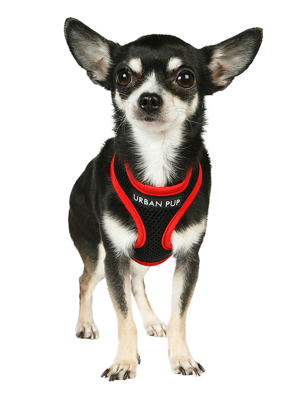 Urban Pup Active Mesh Sele Svart/Röd - 3