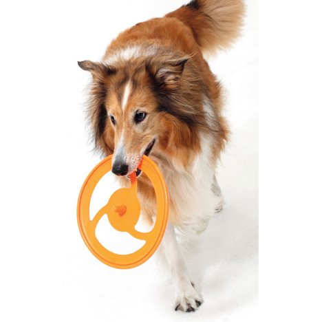 Hundleksaker