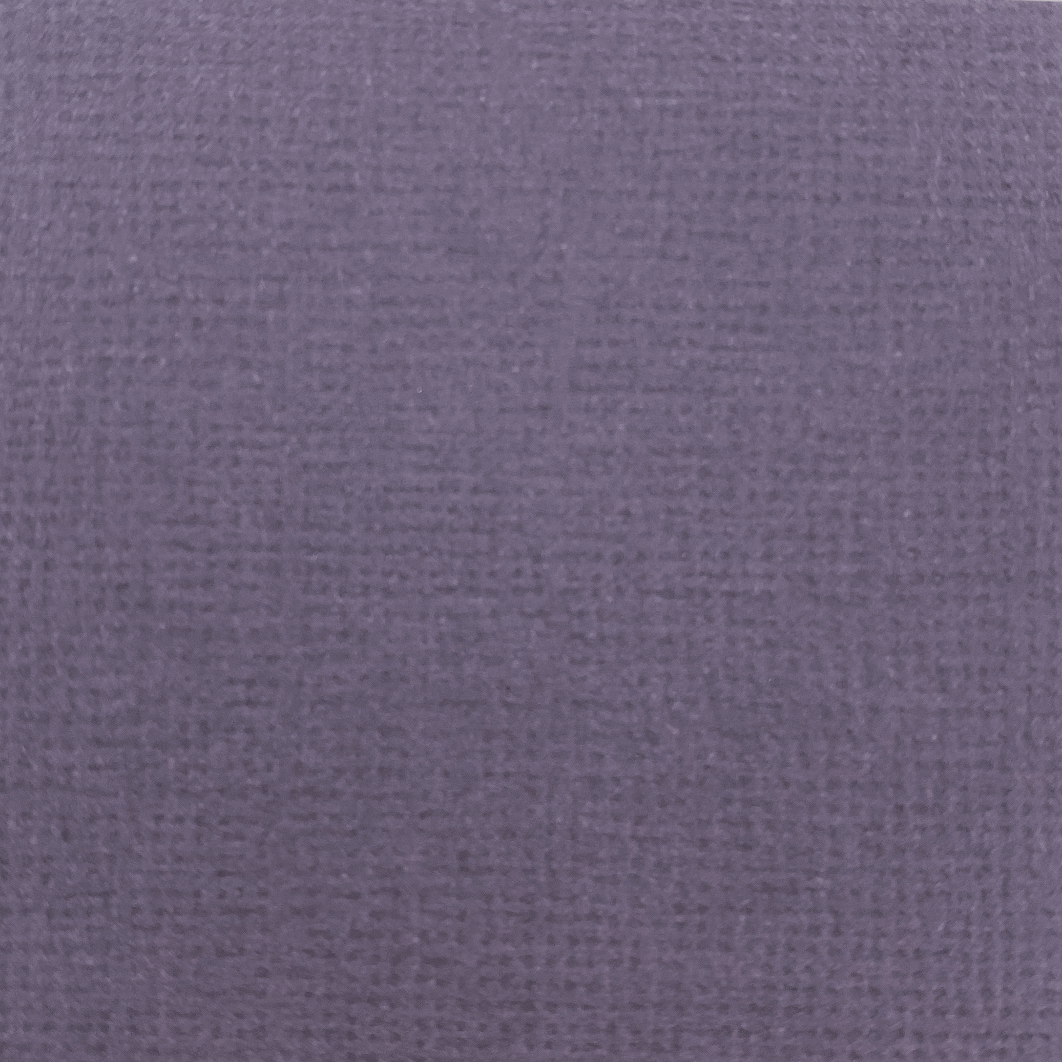 Canvas - Eggplant 10-pack