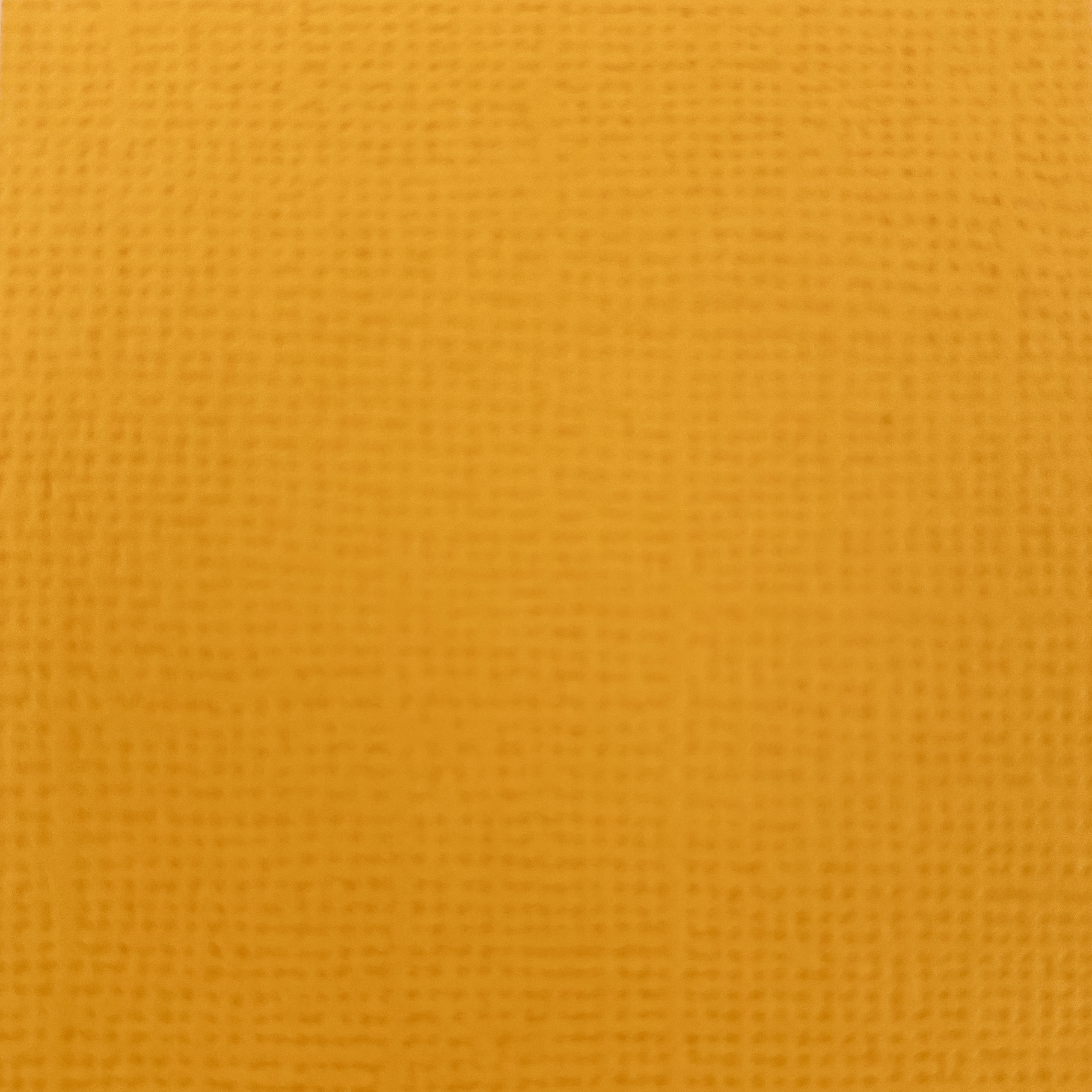 Canvas - Honey 10-pack