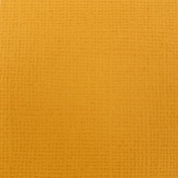 Canvas - Honey 10-pack