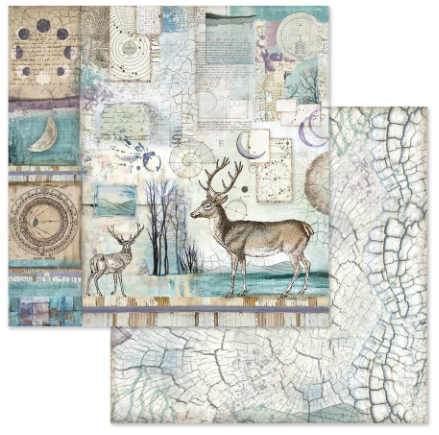 Stamperia Paper Pad 12X12 - Cosmos - 2