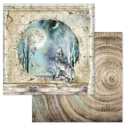 Stamperia Paper Pad 12X12 - Cosmos - 6