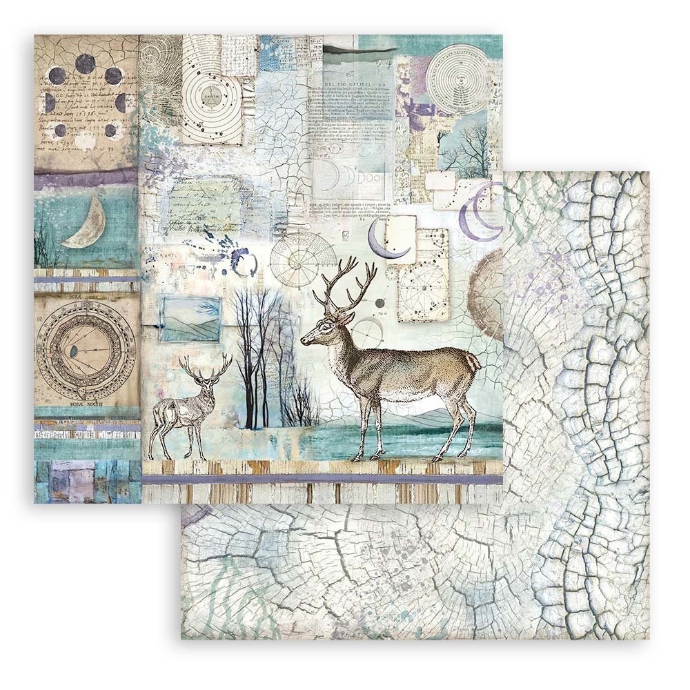Stamperia Paper Pad 12X12 - Cosmos Infinity - 3