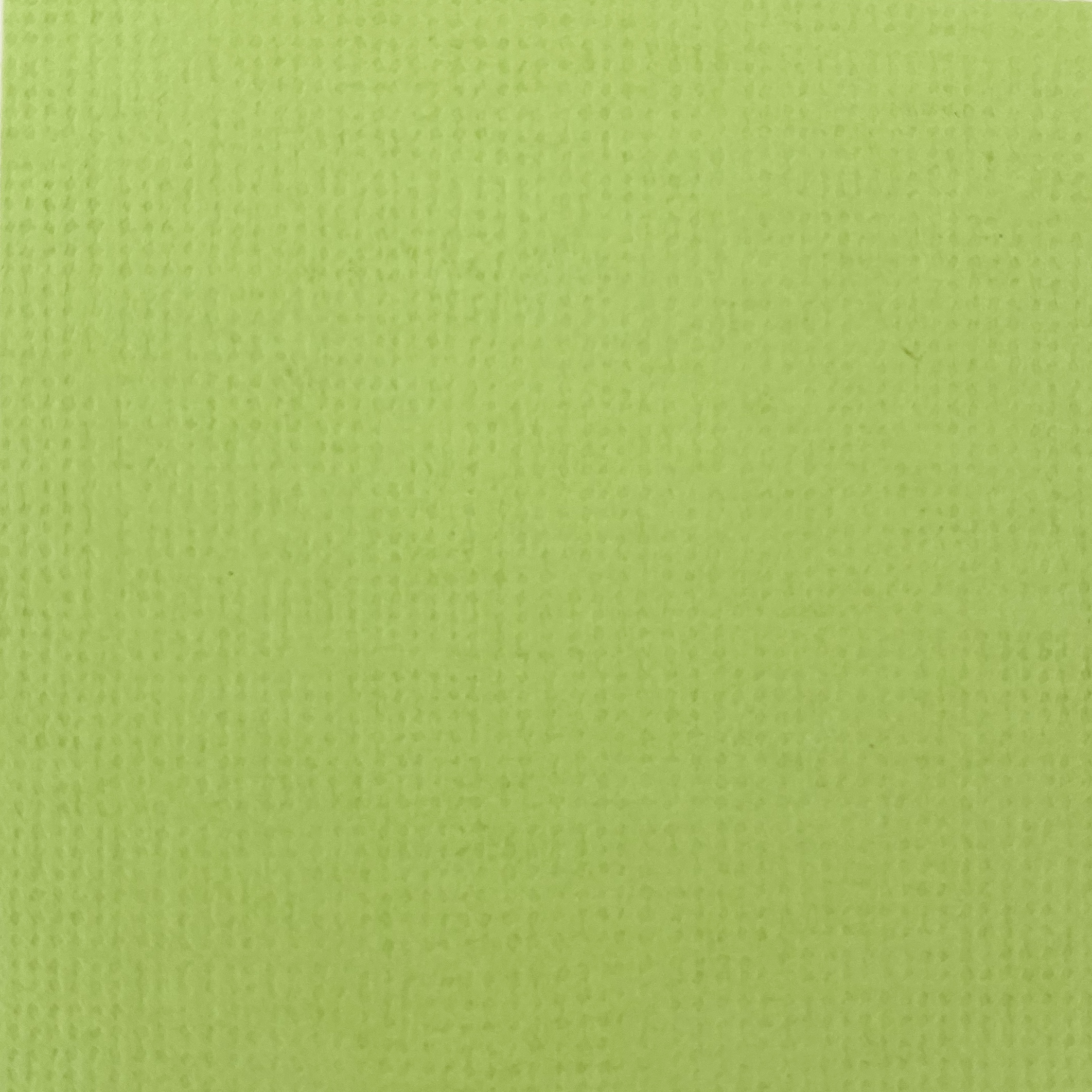 Canvas - Fresh green 10-pack