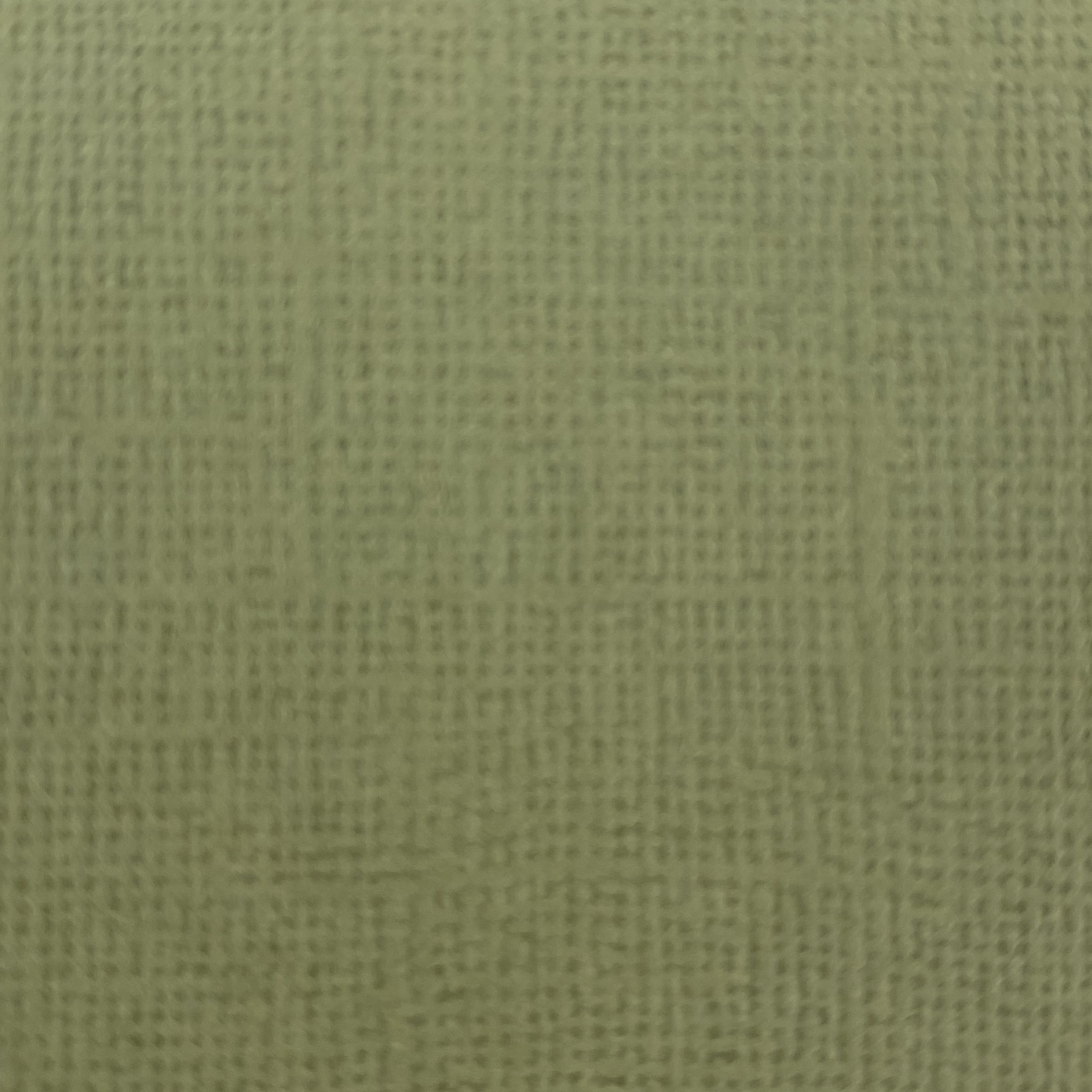 Canvas - Pale olive 10-pack