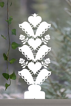 Insyn TRÅDSPIRAS KURBITSRANKA