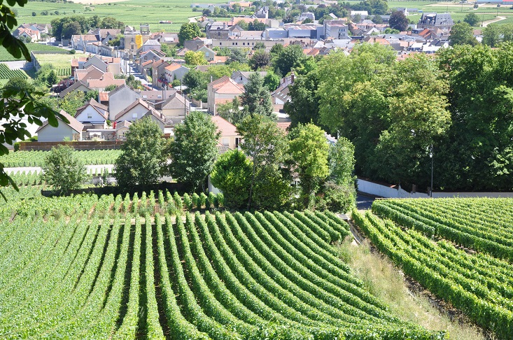 Mousserande vin/champagne kurs våren 2026 - 2