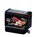 Paket med Rebelcell 12V18 och 12.6V4A laddare