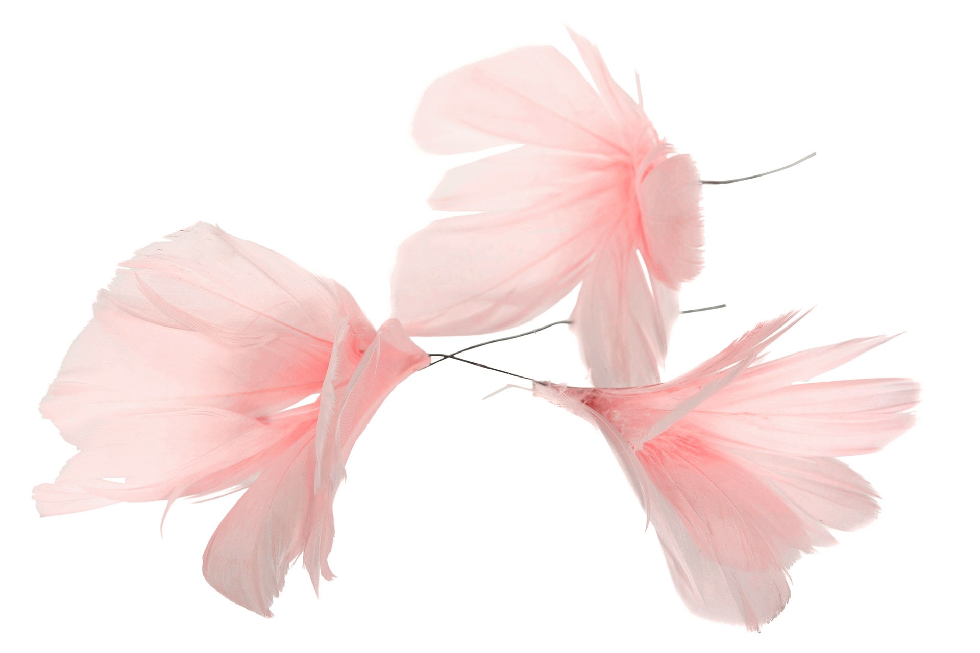 Fjäder/tråd Magnoliablomma Ljusrosa