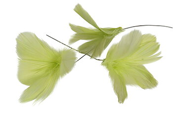 Fjäder/tråd Magnoliablomma Lime
