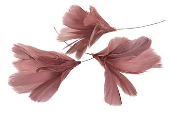 Fjäder/tråd Magnoliablomma Gammelrosa
