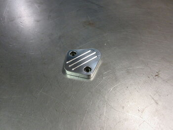 Fuel Pump Block-off Plate CBB