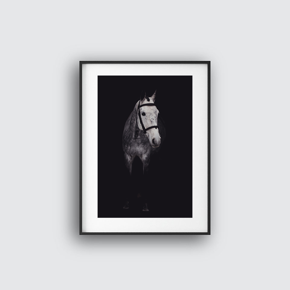 The Beautiful Horse Poster