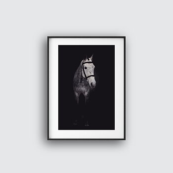 The Beautiful Horse Poster