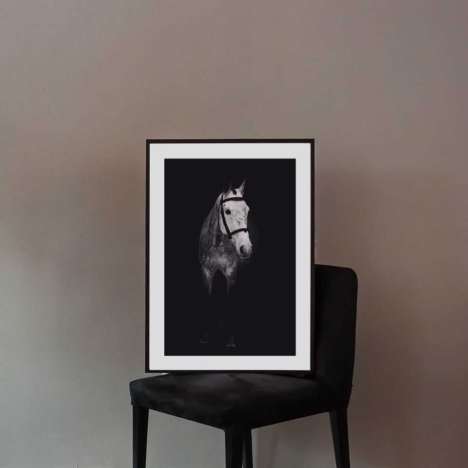The Beautiful Horse Poster - 2