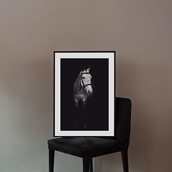 The Beautiful Horse Poster
