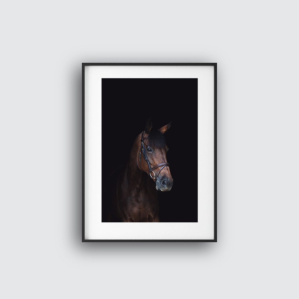 The Brown Horse Poster