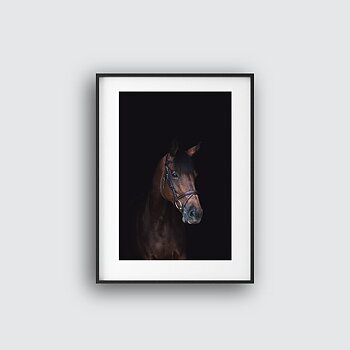 The Brown Horse Poster