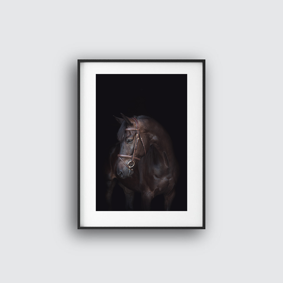 The Dark Horse Poster