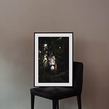  Gorgeous Horse Poster