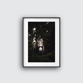  Gorgeous Horse Poster