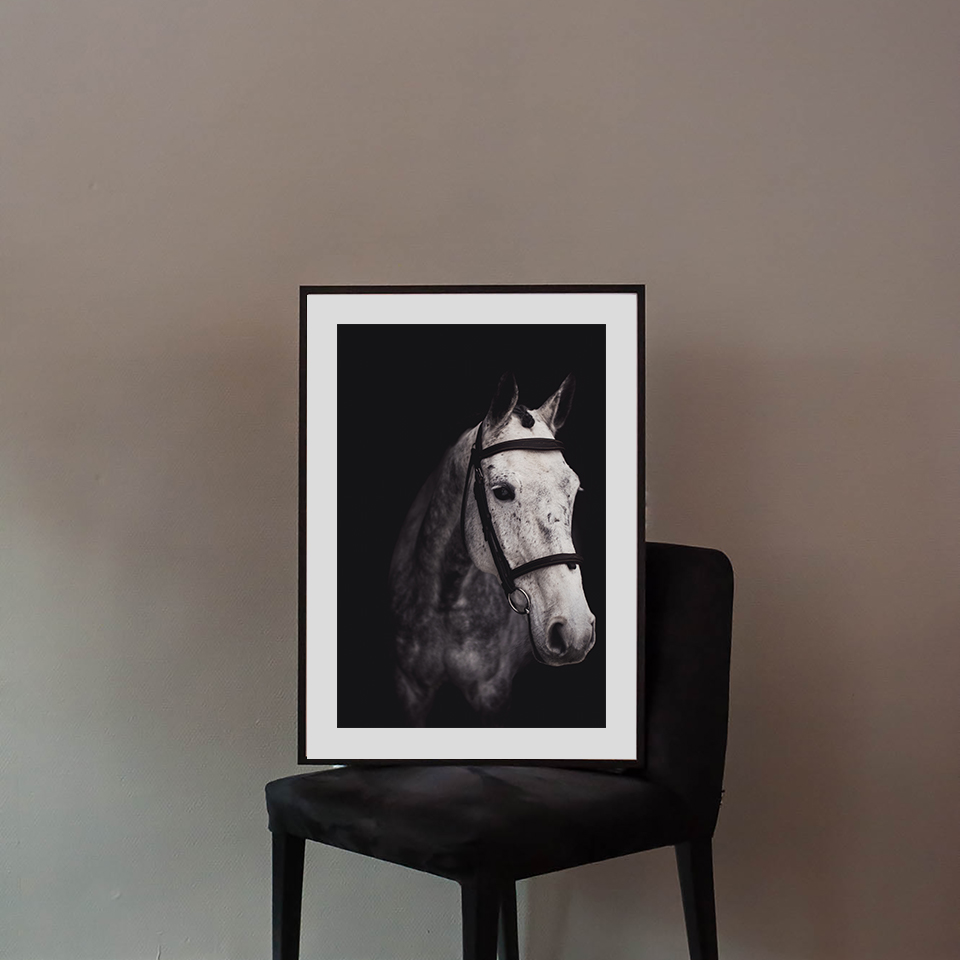 Gray Horse Poster - 2