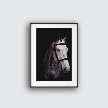 Gray Horse Poster