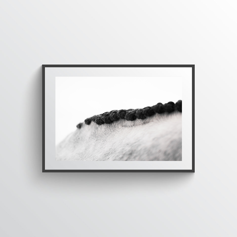 Perfect Horse Mane  Poster