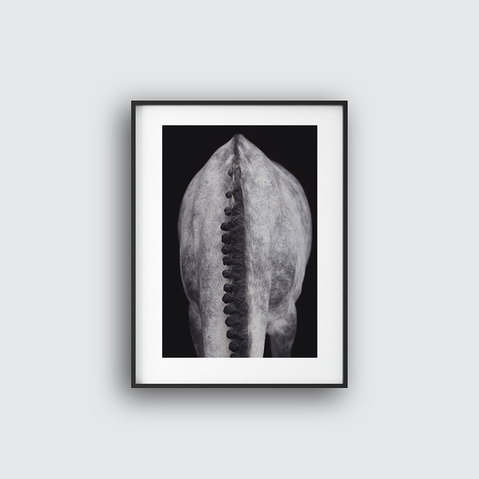 Perfection of Horse Mane Poster
