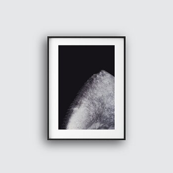 Shades Of Gray Mane Poster