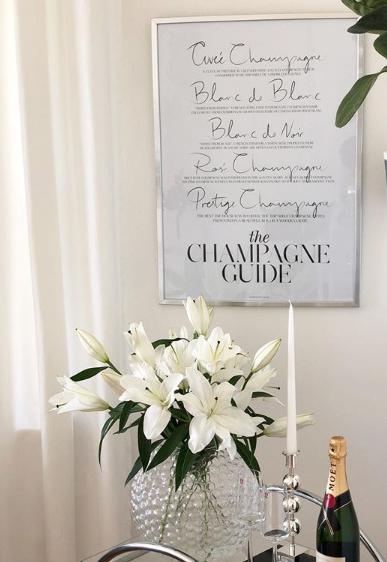 The Champagne Guide - 5