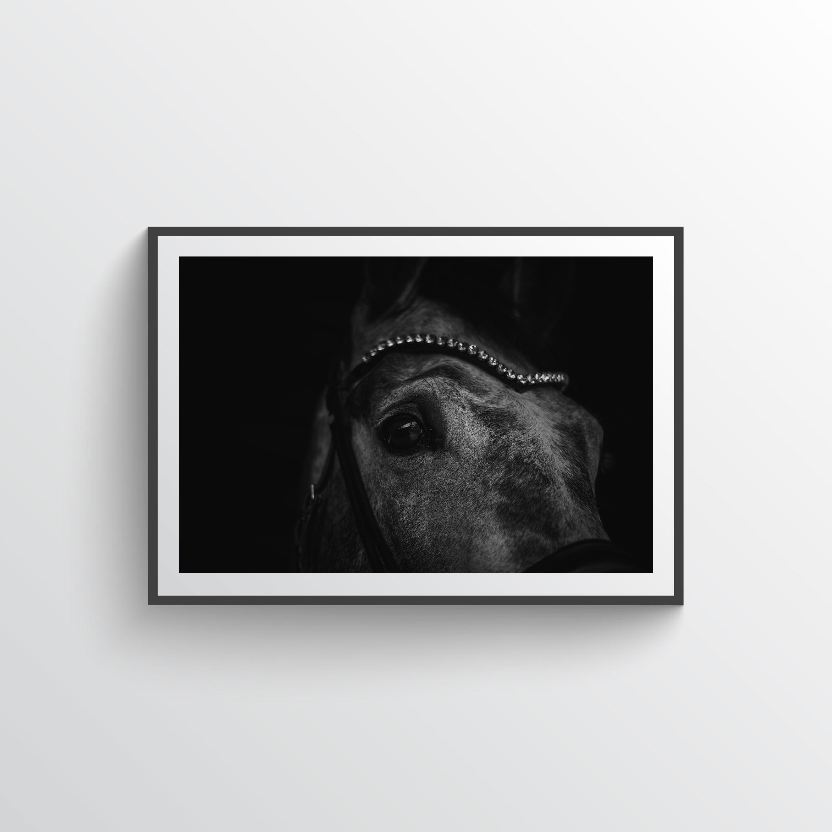 Future Star Horse Poster