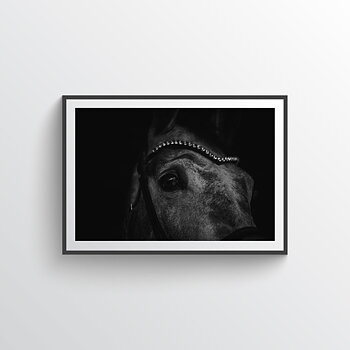 Future Star Horse Poster