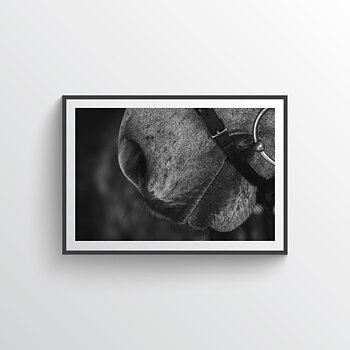 NYHET Soft Horse Poster