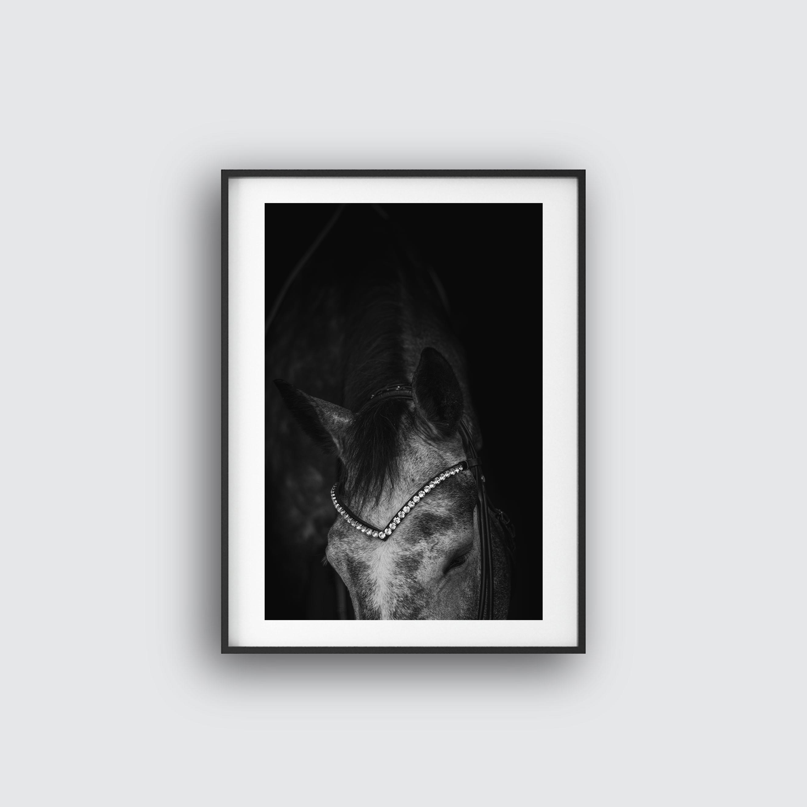 NYHET Not Standing Still Horse Poster